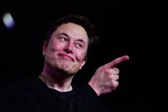 Musk Non 