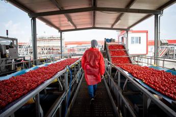 Campagna pomodoro 