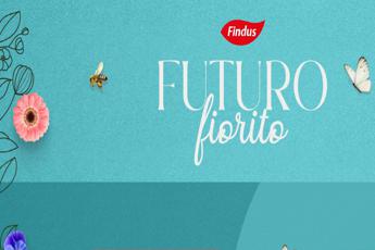 Futuro Fiorito 