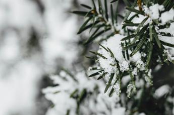 Freddo, raffiche di vento e neve sull’Italia: le previsioni meteo