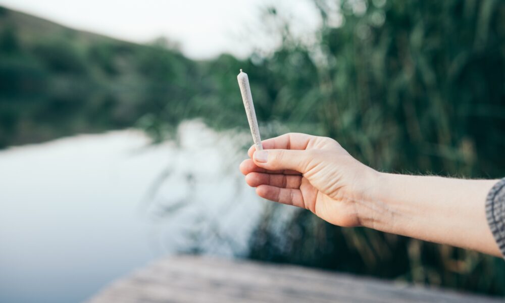 Aumenta il prezzo del tabacco, gli over 50 australiani si rifugiano nella cannabis