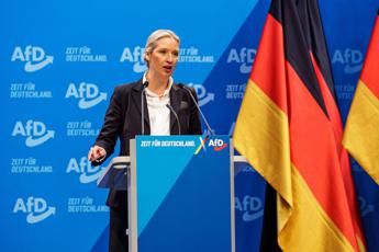 Germania, Alice Weidel eletta candidata cancelliera Afd