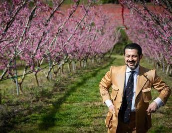 Marche: in fiore gli alberi della pesca Saturnia, l’agricoltura di qualità diventa attrazione turistica