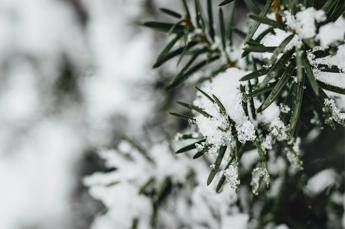 Temperature giù di 10 gradi, colpo di coda dell’inverno sull’Italia  